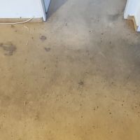 Startseite 6 Desinfektion, Geruchsbeseitigung, Imprägnierung und Mottenschutz